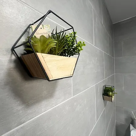 Couette-café The Bluebird I